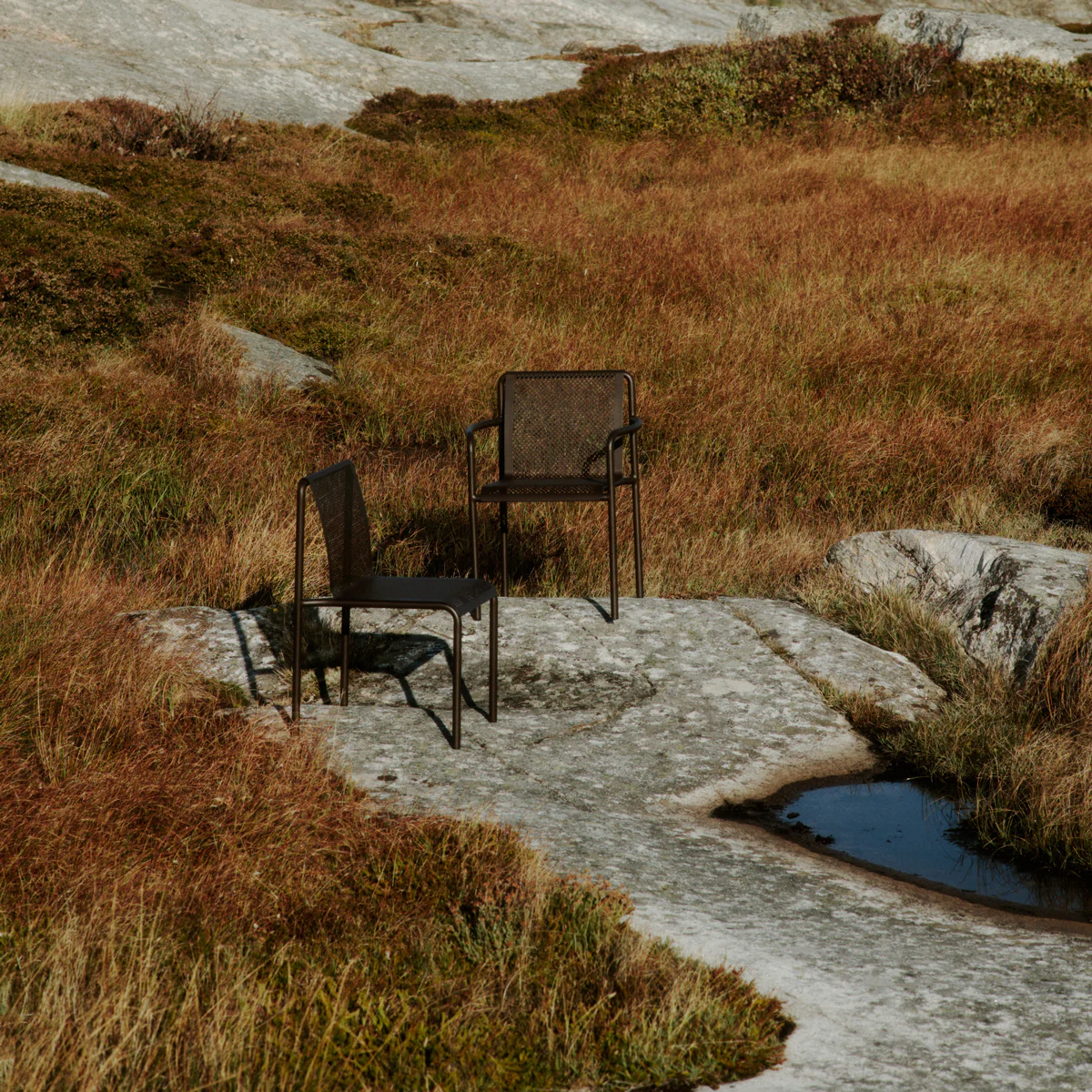 Dapple Chair With Arms - Dark Chocolate - Image 6
