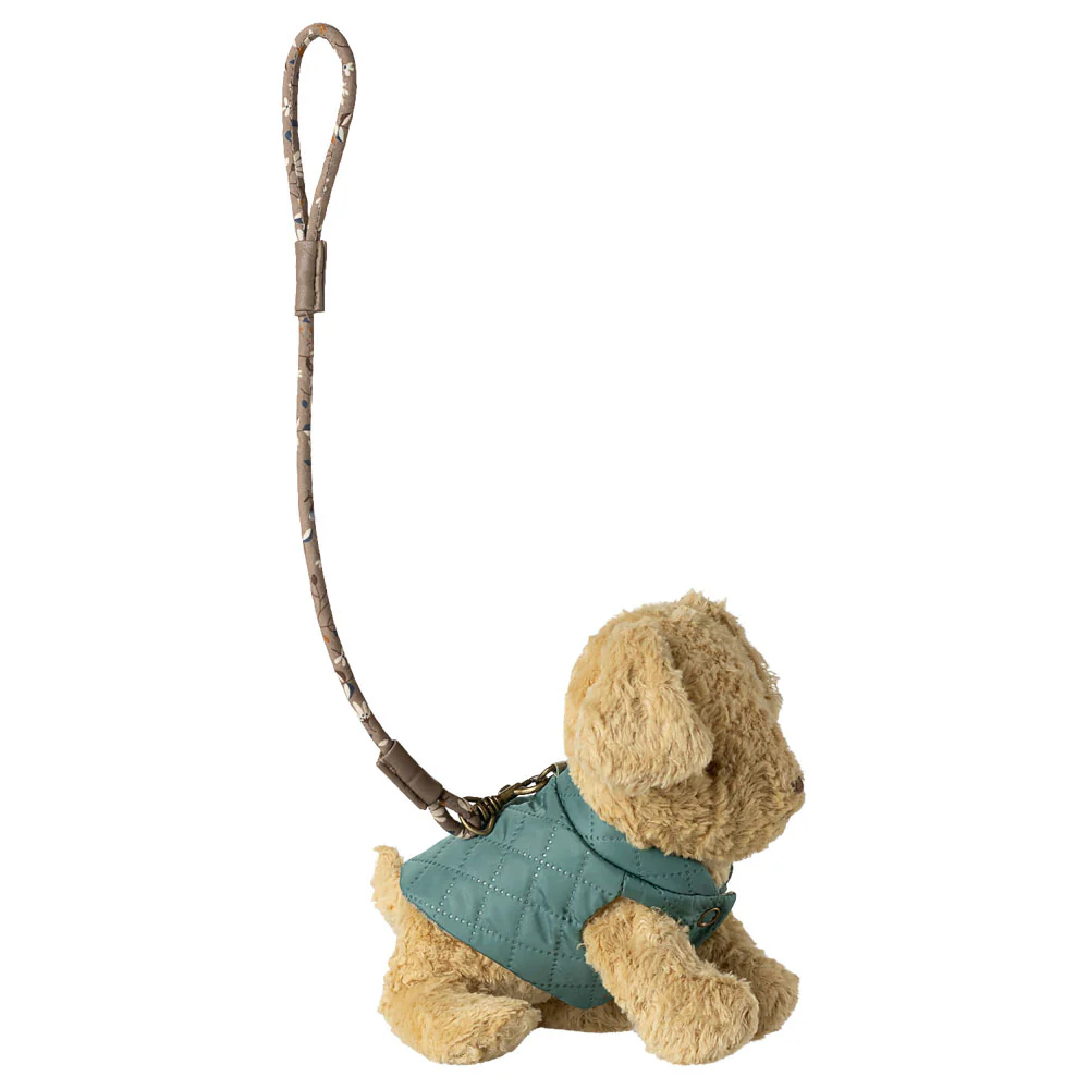 Pet supply, Harness and leash - Dark mint - Image 2