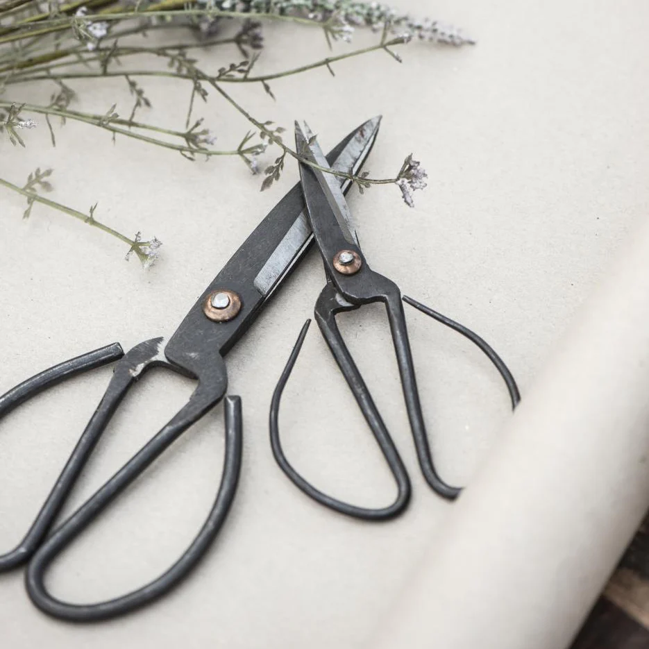 Scissors Large - Image 2