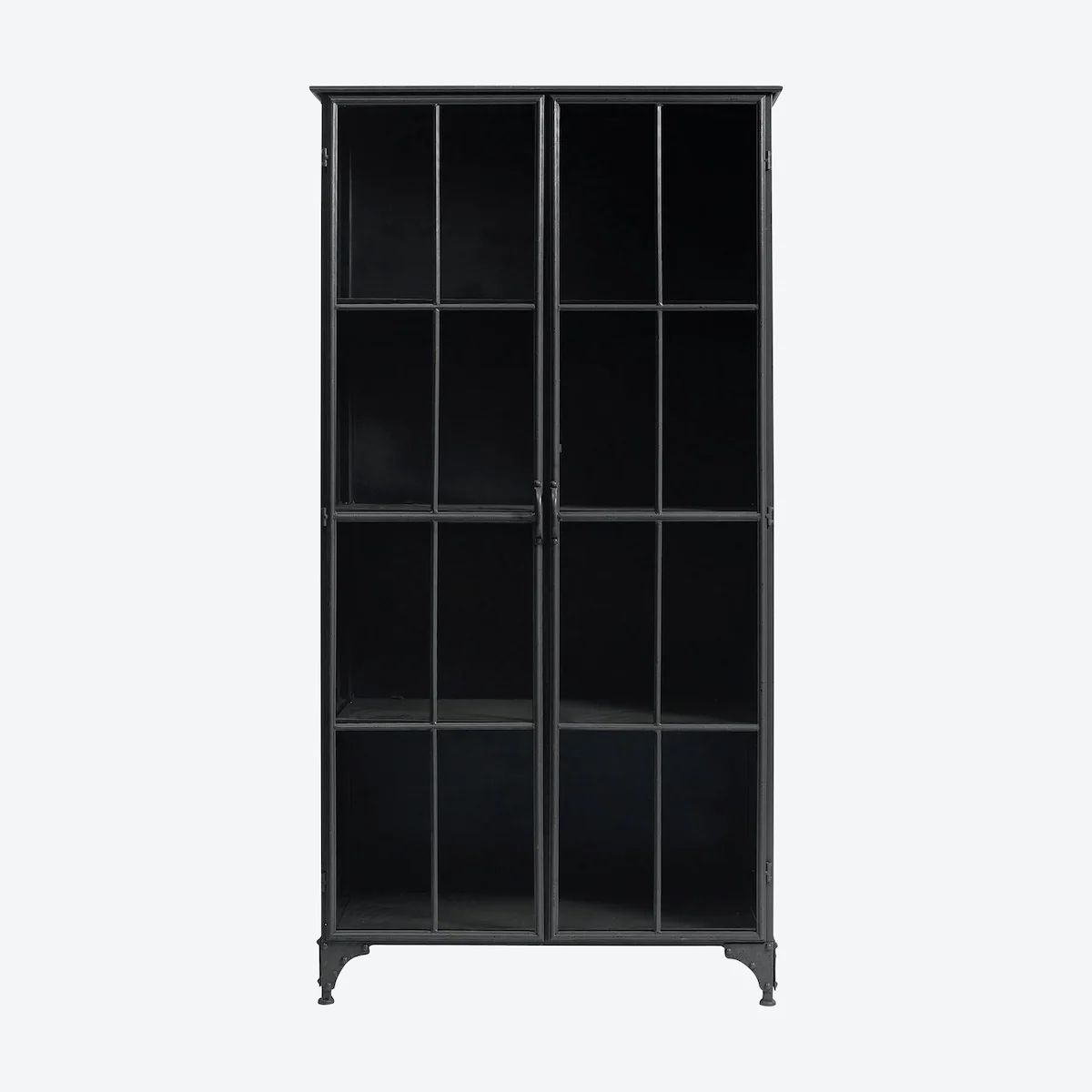 Tall Iron & Glass Cabinet - Image 2