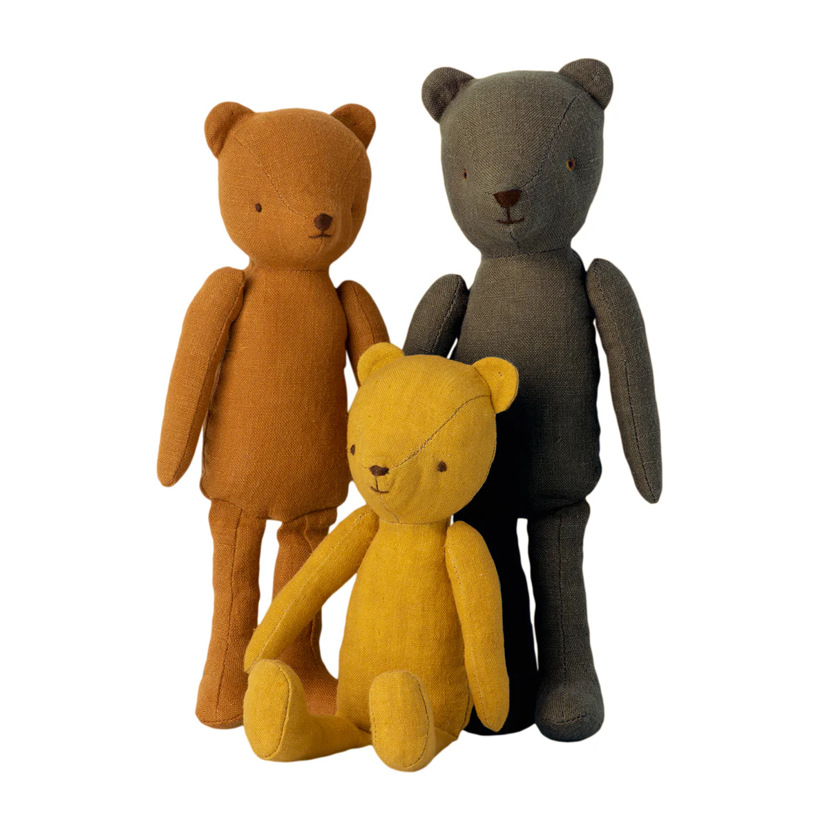 Teddy Dad - Image 3